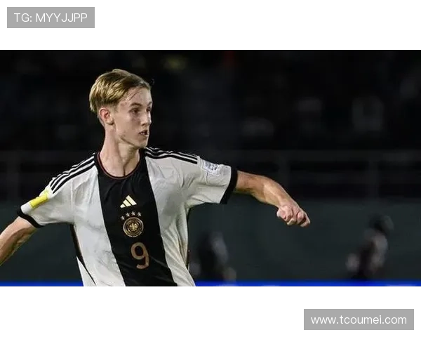 从青训到欧战崛起的霍芬海姆1899俱乐部发展之路全景解读德甲新势力