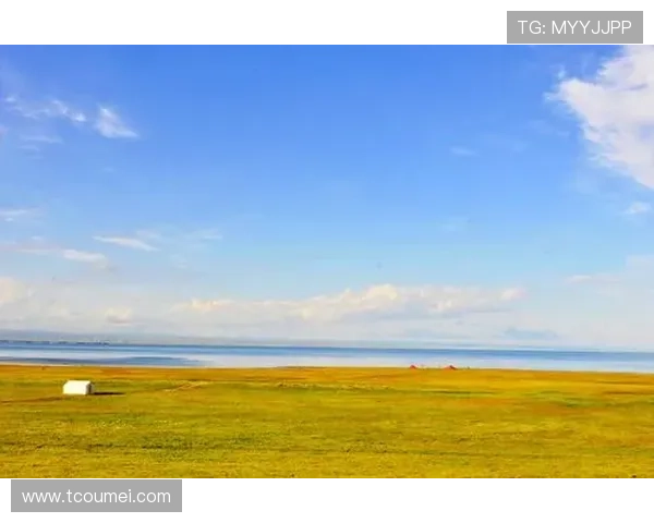 布莱克浦足球俱乐部百年沉浮与海滨之城荣耀复兴之路探索传奇